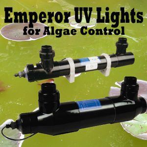 Ultraviolet Lights (UV Lights)